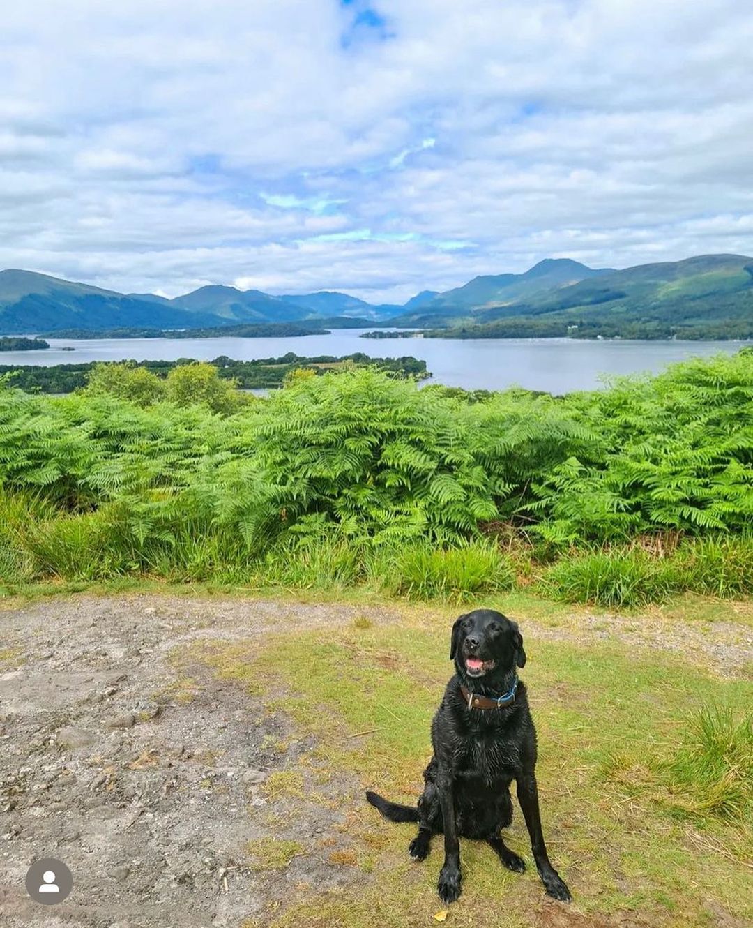 tour loch lomond