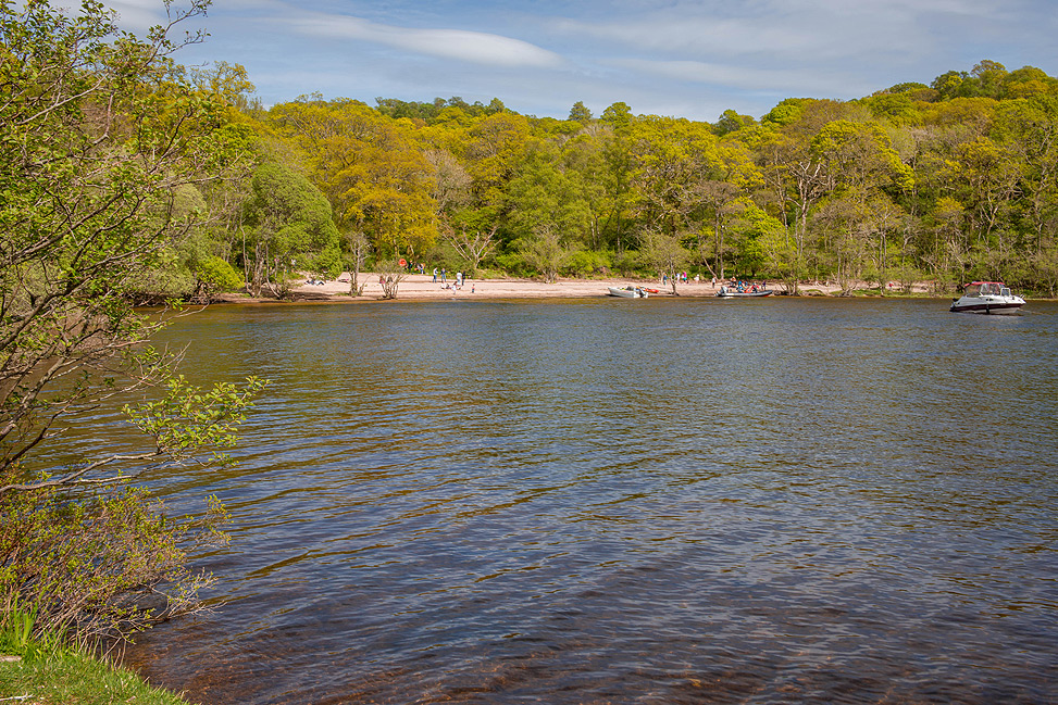 Inchcailloch beach