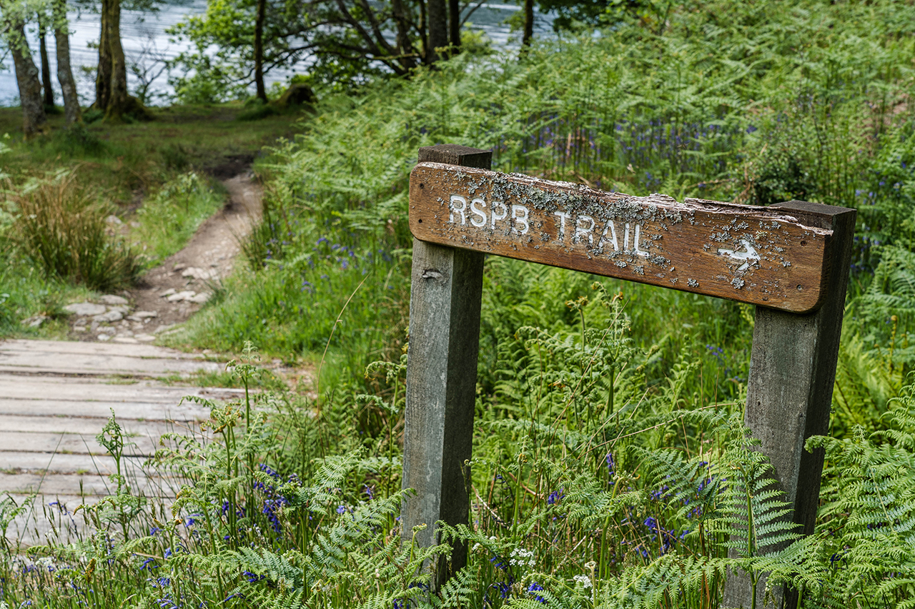 RSPB Trail Sign