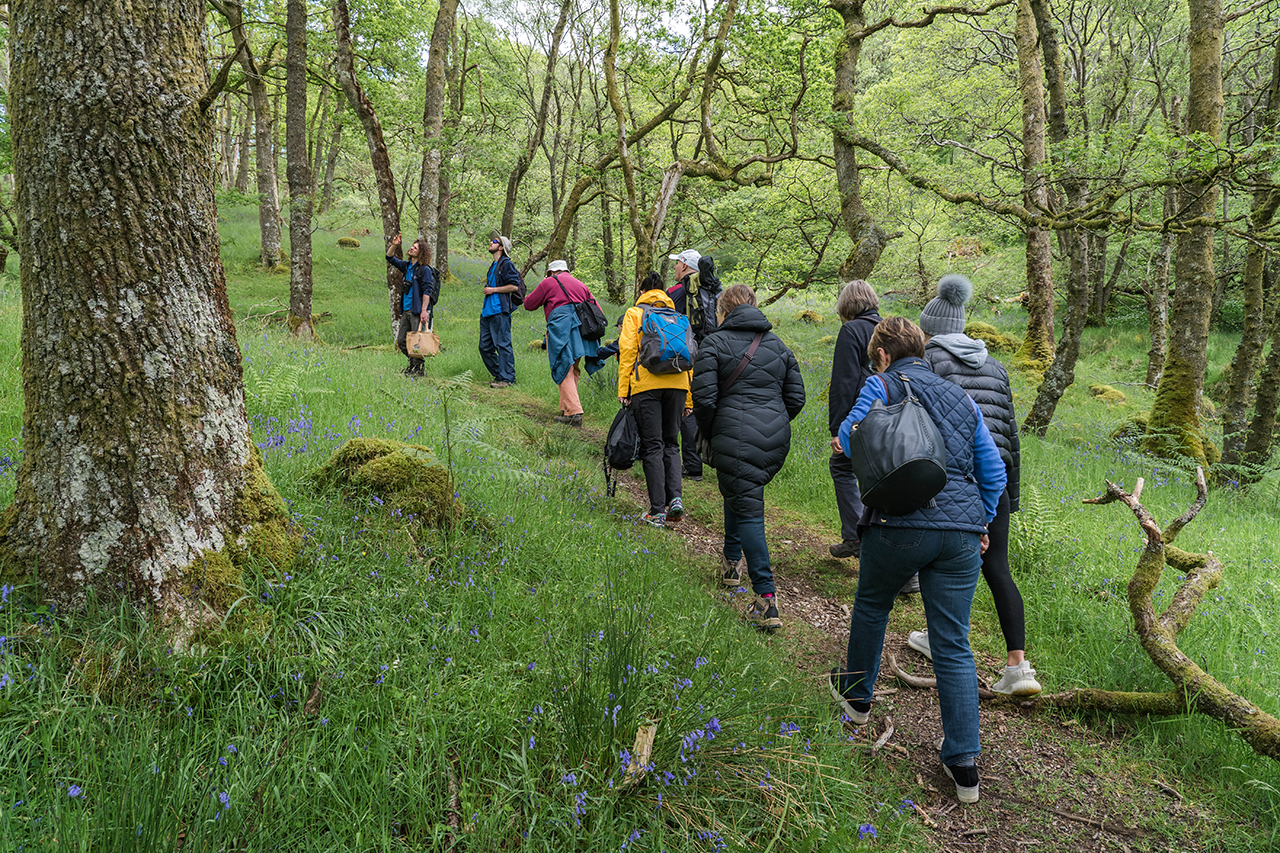 Inversnaid Walkers